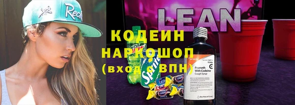 крисы Абаза
