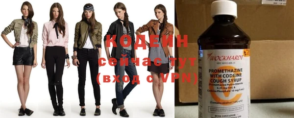 крисы Абаза