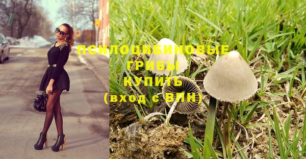 мдпв Абдулино