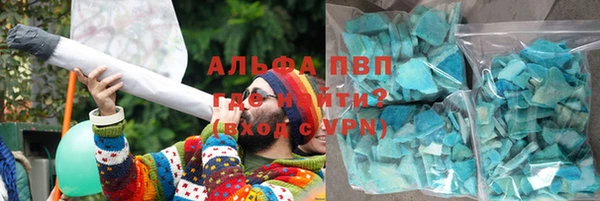 крисы Абаза